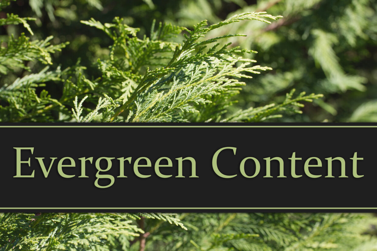 Close-up of green evergreen foliage with the text "Evergreen Content" prominently displayed on a dark banner.
